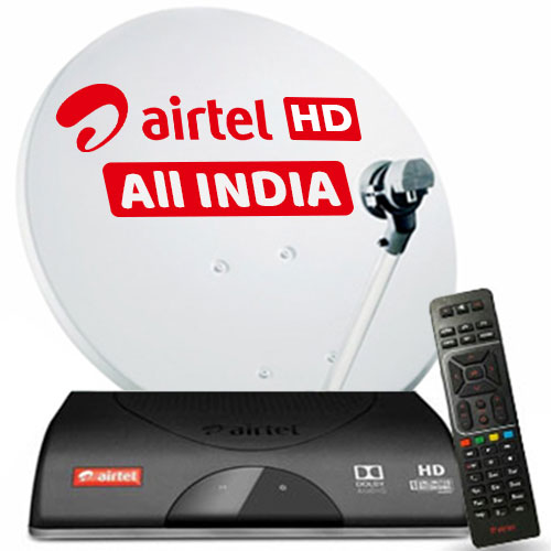 omega speedmaster teddy bear